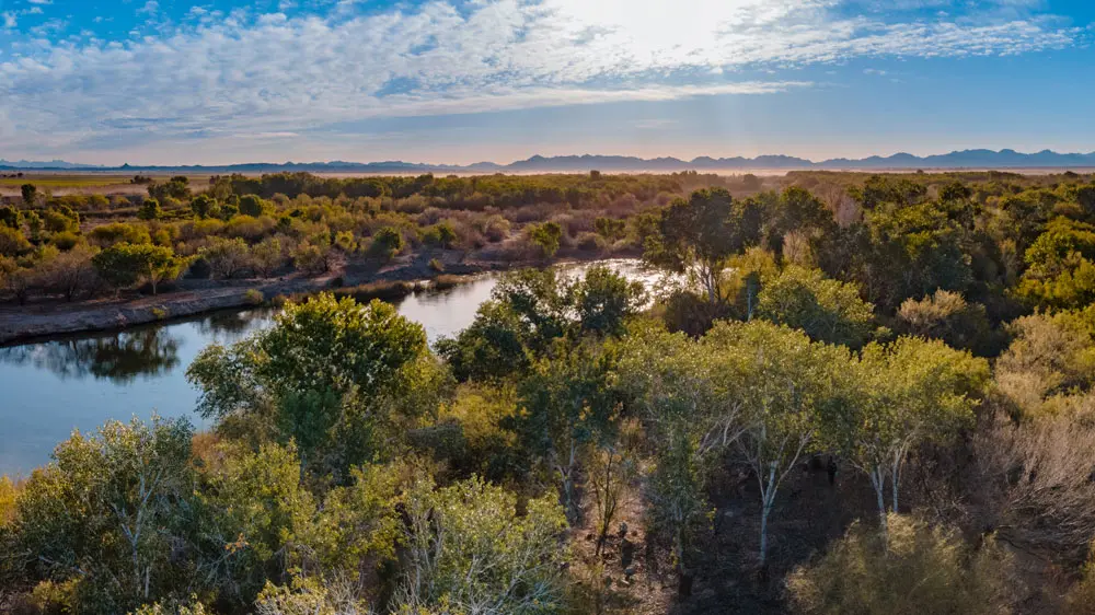 Restored Yuma East Wetlands trees and river